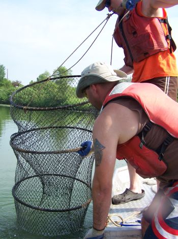 Chris Wiley and Jean-Paul Montes pulling up a hoop net at Wildwood Lake (courtesy: Mike Dedinsky)