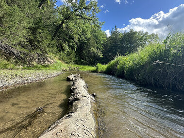 Log Upstream