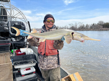 A graduate student researcher poses with a pallid sturgeon.