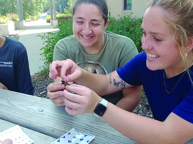 Jessi, Robyn and Alyssa identify a monarch butterfly