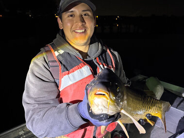Mike P Fish