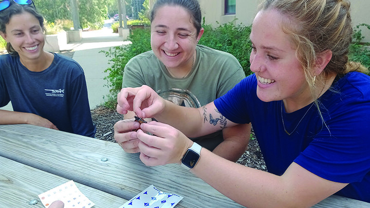 Jessi, Robyn and Alyssa identify a monarch butterfly