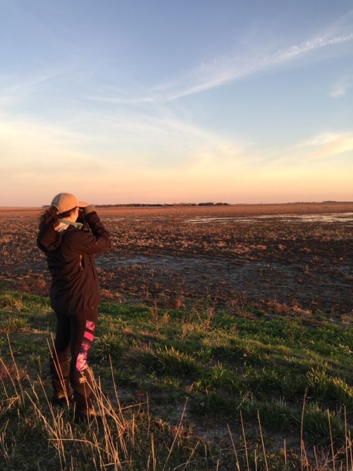 Ducks Unlimited technician Danielle Ramsden surveys waterfowl on a Rainwater Basin playa during a waterfowl monitoring project. Photo: Alyssa Eby